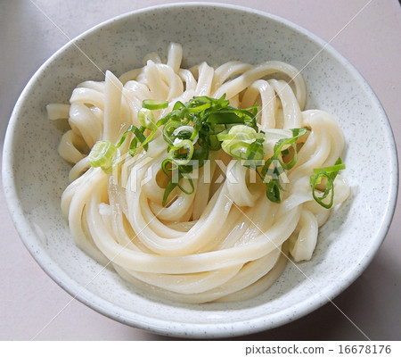 Sanuki udon cold Sanuki udon cold 16678176