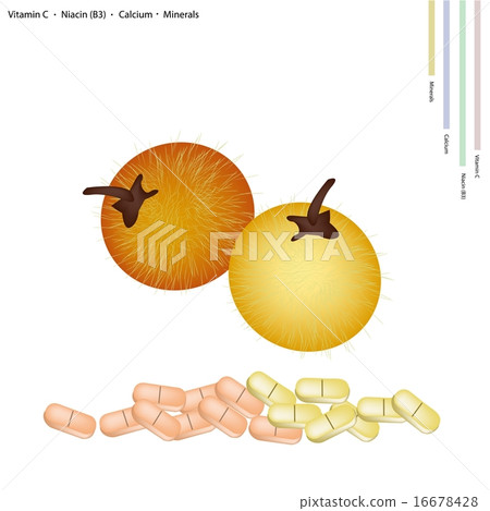 Fresh Bolo Maka with Vitamin C, B3 and Calcium 16678428