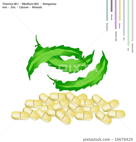 Winged Beanswith Vitamin B1 and Vitamin B2 16678429