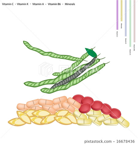 Green Beans with Vitamin C, K, A and B Green Beans with Vitamin C, K, A and B 16678436