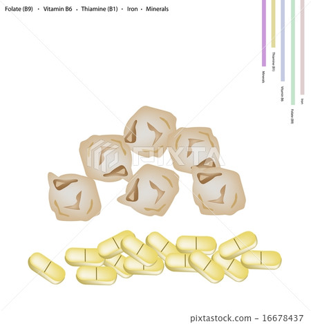 Dried Chickpea with Vitamin B9, B6 B1 and Iron 16678437