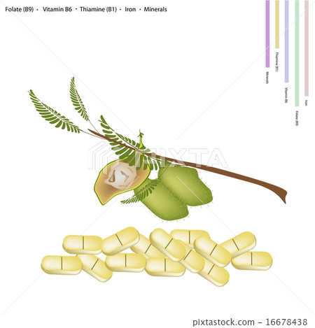 Chickpea with Vitamin B9, B6 B1 and Iron 16678438
