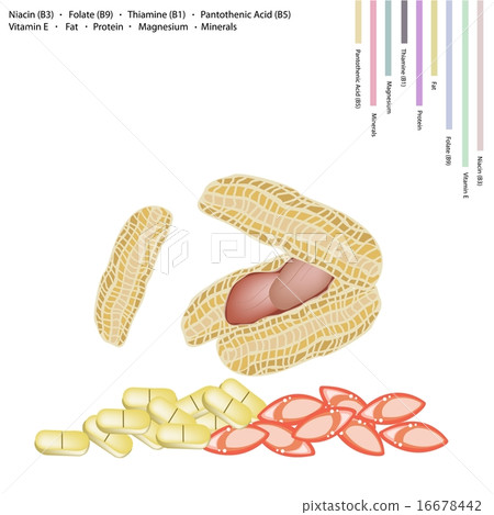 Peanuts Pods with Vitamin B3, B9, B1, B5 and E Peanuts Pods with Vitamin B3, B9, B1, B5 and E 16678442