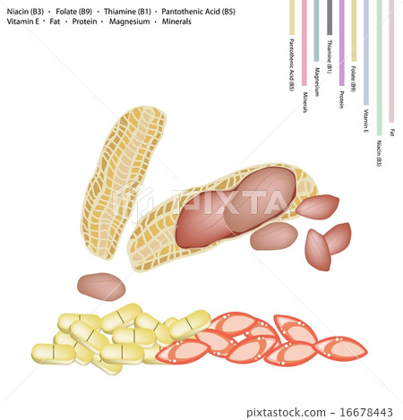 Peanuts Pods with Vitamin B3, B9, B1, B5 and E 16678443
