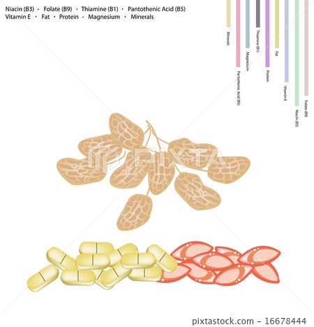 Peanuts Pods with Vitamin B3, B9, B1, B5 and E 16678444