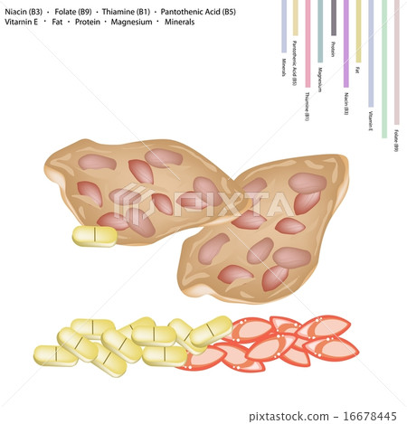 Thai Peanut Cracker with Vitamin B and E Thai Peanut Cracker with Vitamin B and E 16678445