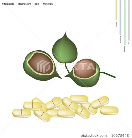 Macadamia Pods with Vitamin B6, Magnesium and Iron 16678448