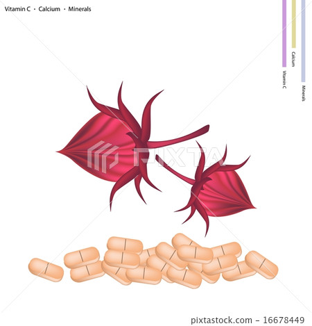 Red Roselle Flower with Vitamin C and Calcium 16678449