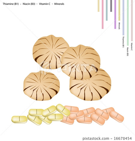Fresh Santol Fruit with Vitamin C, B1 and B3 16678454