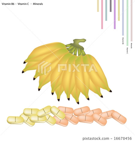 Sweet Banana with Vitamin B6 and Vitamin C 16678456