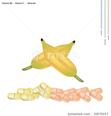 Fresh Banana with Vitamin B6 and Vitamin C Fresh Banana with Vitamin B6 and Vitamin C 16678457