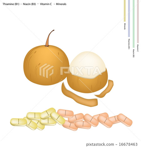 Santol Fruit with Vitamin C, B1 and B3 16678463