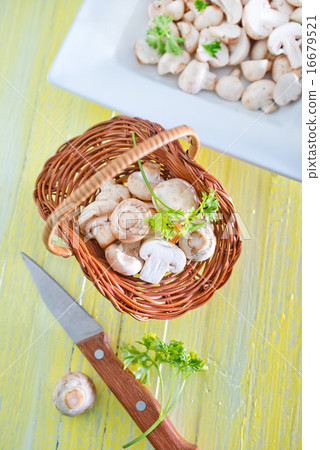 mushrooms 16679521