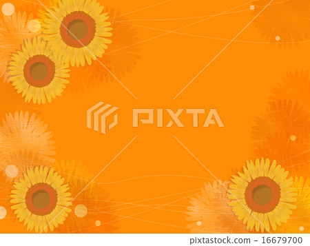 Sunflower background 16679700