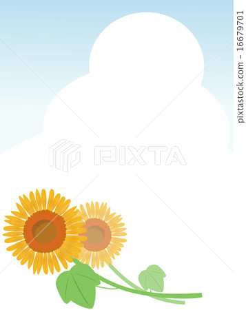 Sunflower Summer Ice Cloud 16679701