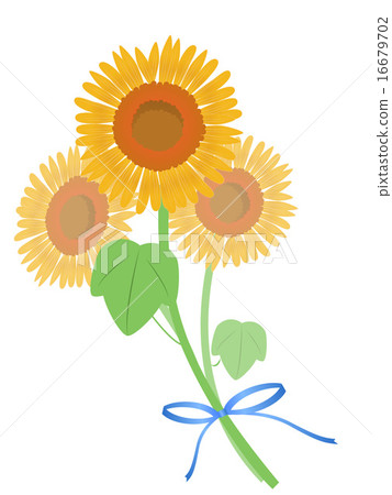 A sunflower bouquet 16679702