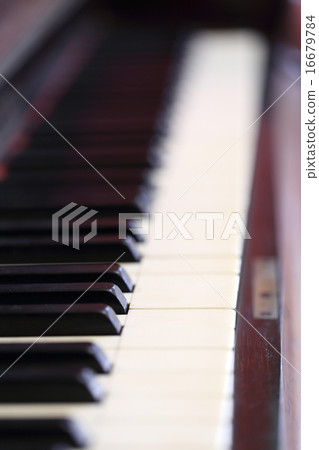 piano keys and wood grain 16679784