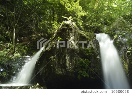 古谷谷信州乙女瀑布 古谷谷信州乙女瀑布 16680038