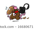 Rat in Race 16680671