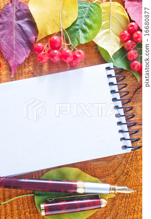 autumn background 16680877