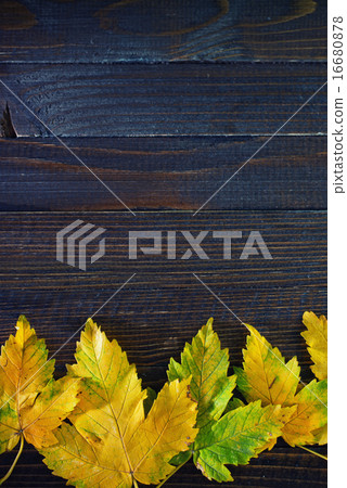 autumn background autumn background 16680878