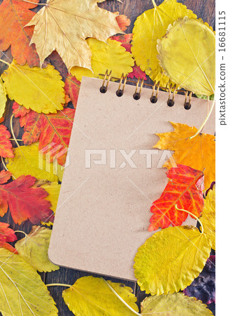 autumn background 16681115