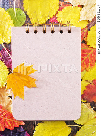 autumn leaves 16681117