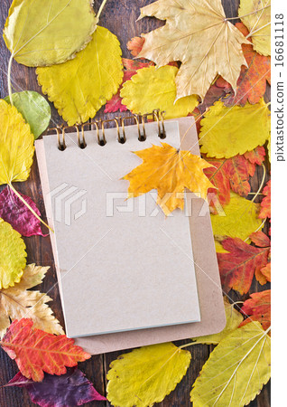 autumn background autumn background 16681118