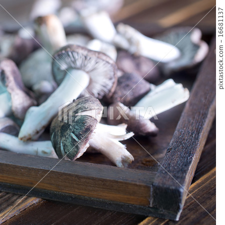 raw mushrooms 16681137