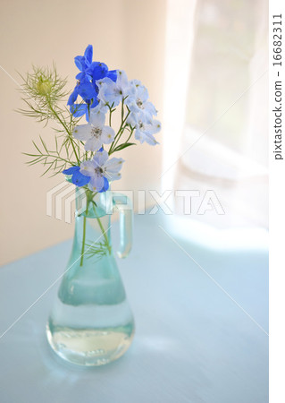 Delphinium and Nigella in a glass bottle Delphinium and Nigella in a glass bottle 16682311