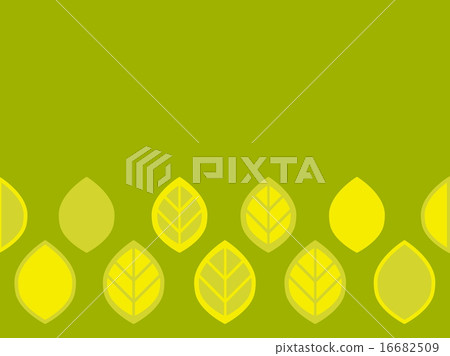 leaf  16682509