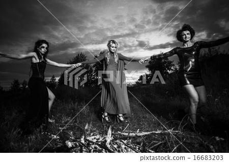 Whitches coven 16683203