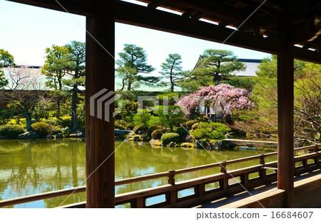 京都平安神宮日本花園 京都平安神宮日本花園 16684607
