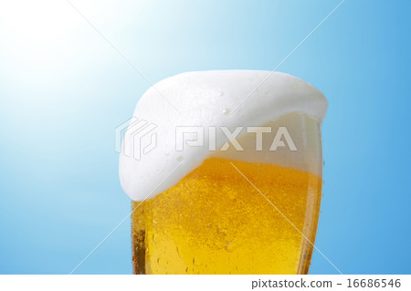 啤酒 16686546