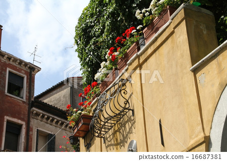 Venice landscape Venice landscape 16687381