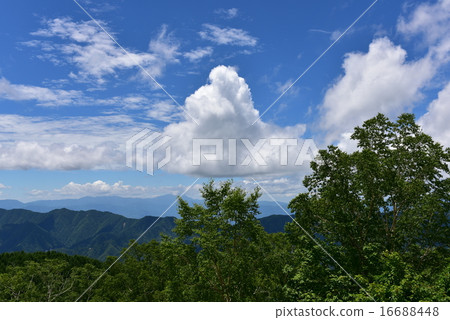 Takara的夏天8 16688448