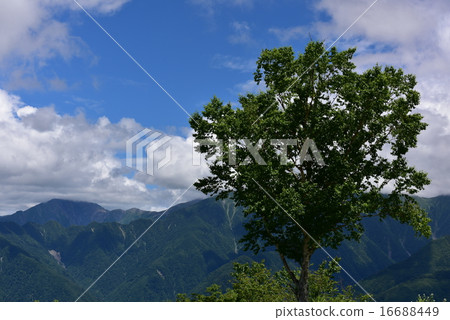 Takara的夏天9 16688449