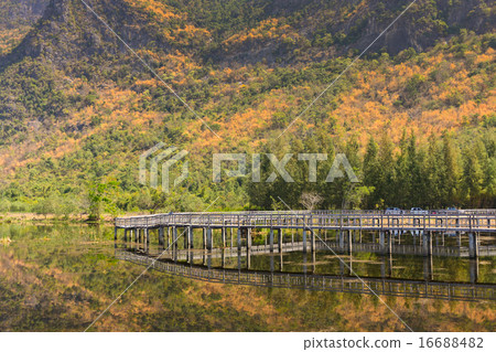 Colorful Lake in Thailand 16688482