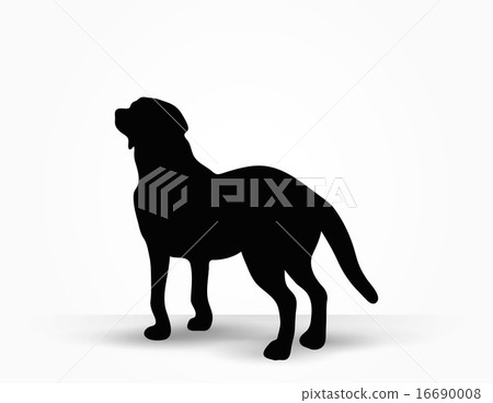 dog silhouette dog silhouette 16690008