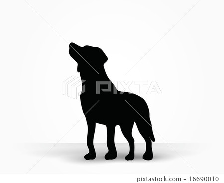 dog silhouette dog silhouette 16690010