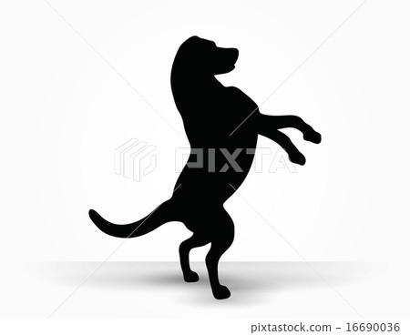 dog silhouette dog silhouette 16690036