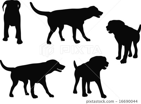 dog silhouette dog silhouette 16690044