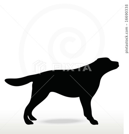 dog silhouette dog silhouette 16690338