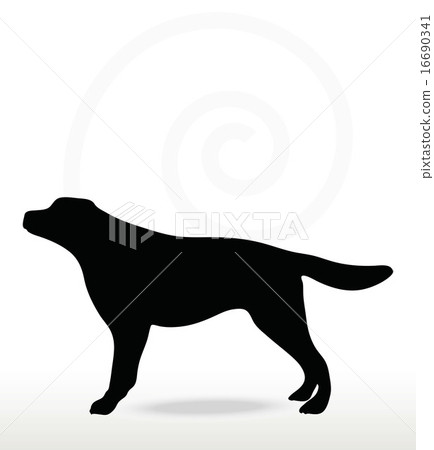 dog silhouette dog silhouette 16690341