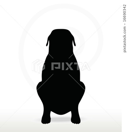 dog silhouette dog silhouette 16690342