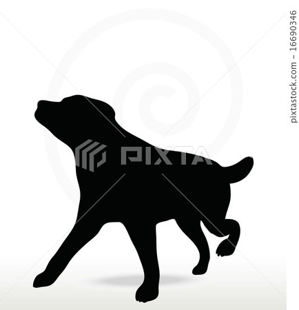 dog silhouette dog silhouette 16690346