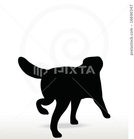 dog silhouette dog silhouette 16690347