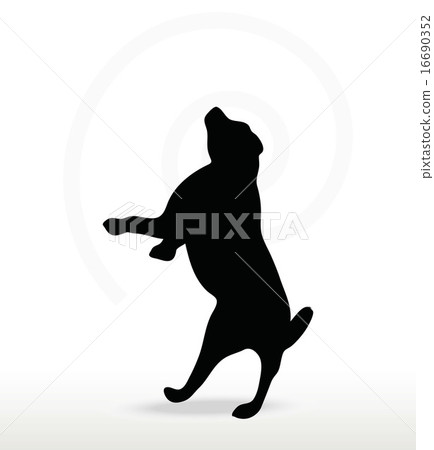 dog silhouette dog silhouette 16690352