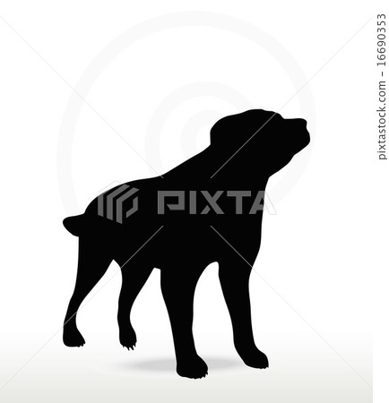 dog silhouette dog silhouette 16690353