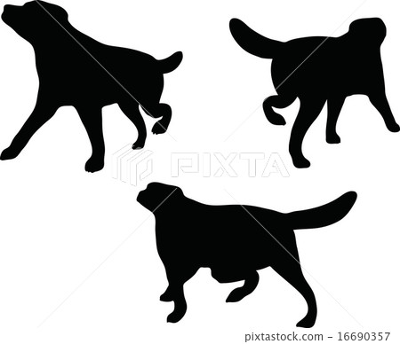 dog silhouette dog silhouette 16690357